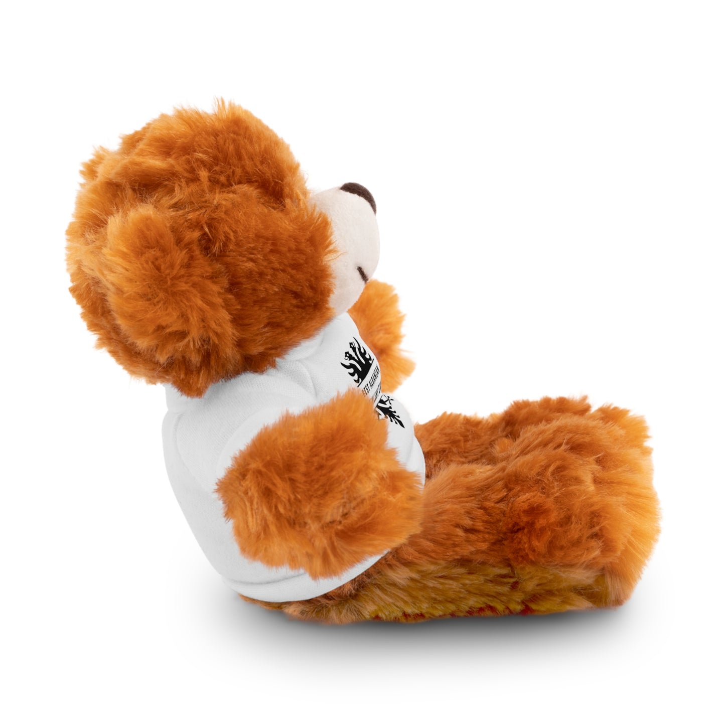 Best Albanian Princess Ever | Personalized Teddy Bear with Custom Tee | Cute Gift for Kids & Collectors