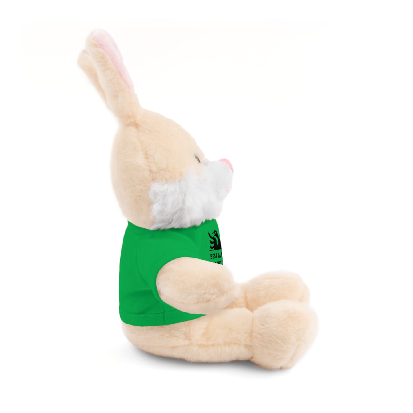 Best Albanian Prince Ever | Personalized 8" Plush Bunny | Multi-Color Custom Tee | Cute Gift for Kids