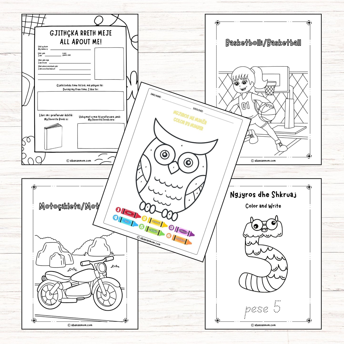 My First Albanian Vocabulary Activity Book I PRITNABLE DIGITAL DOWNLOAD I 180 PAGES