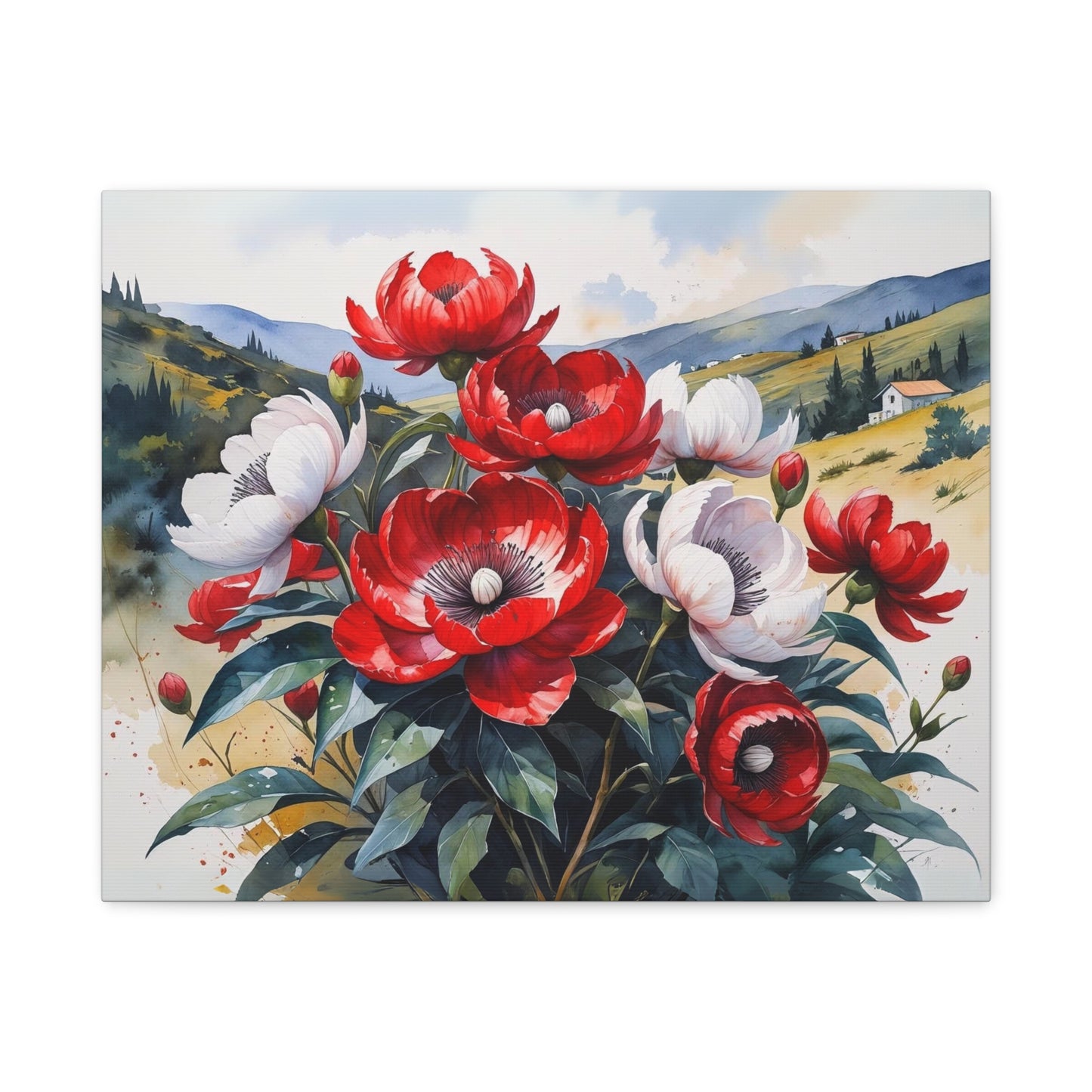 Kosovo’s Crimson Bloom – Watercolor Style Canvas of Red Paeonia peregrina in an Albanian Landscape