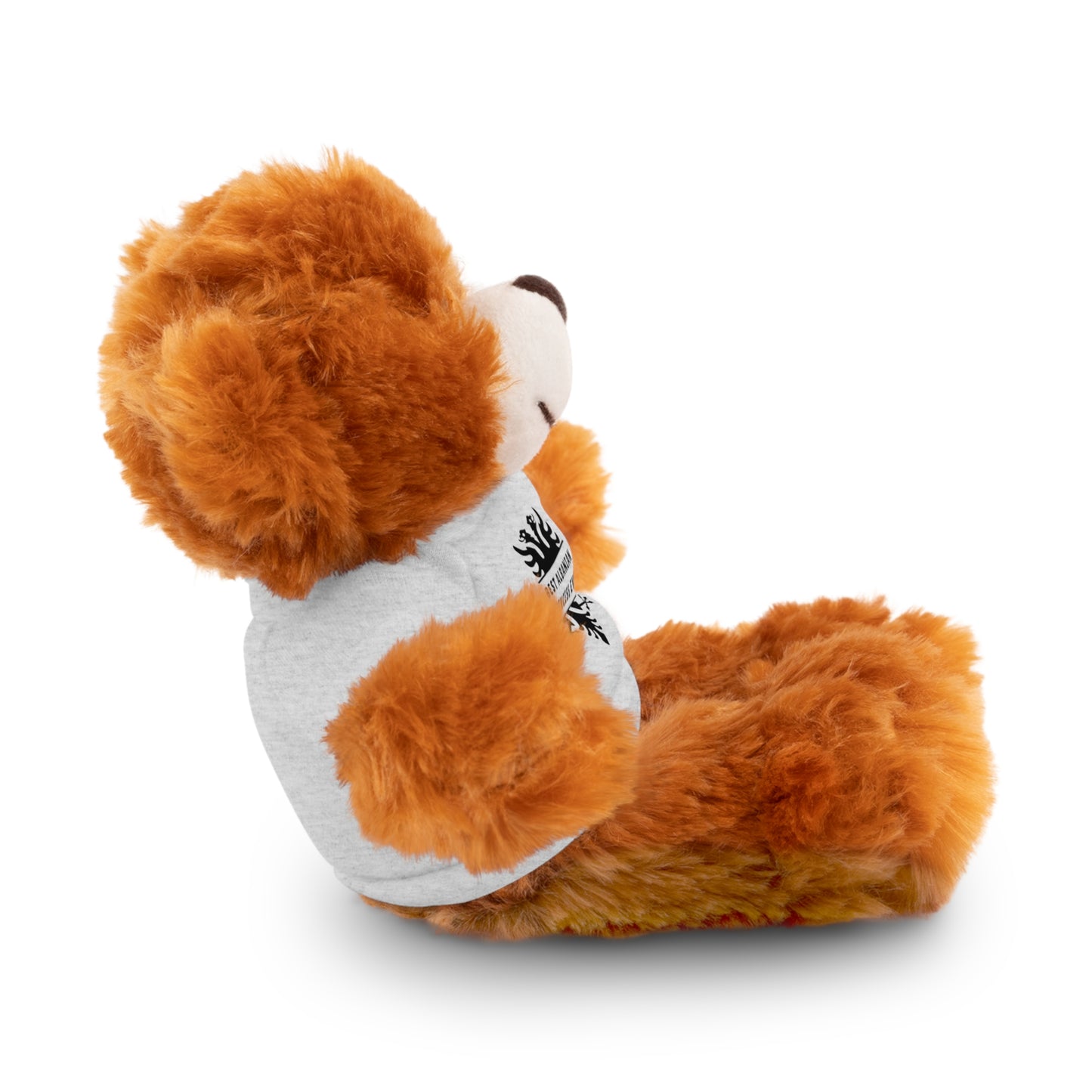 Best Albanian Princess Ever | Personalized Teddy Bear with Custom Tee | Cute Gift for Kids & Collectors