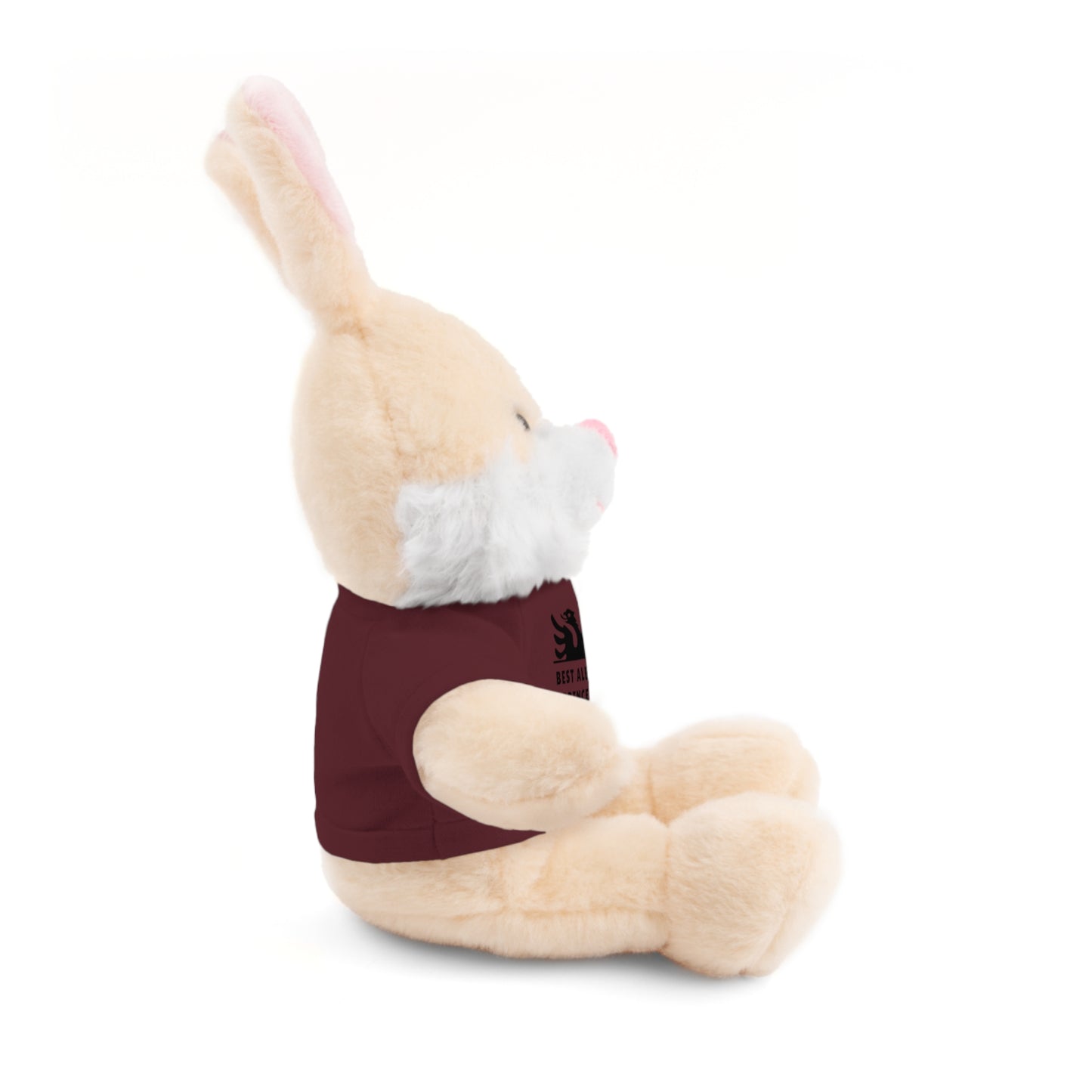 Best Albanian Prince Ever | Personalized 8" Plush Bunny | Multi-Color Custom Tee | Cute Gift for Kids